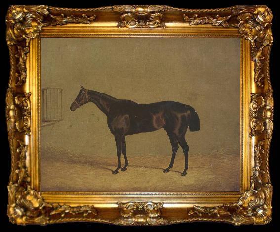 framed  John Frederick Herring The Racehorse 